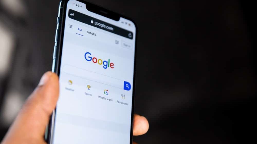 eliminar url google