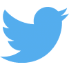 Eliminar información de Twitter 11 twitter logo 2