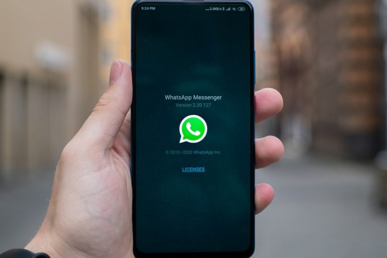 ¿Cómo borrar WhatsApp?