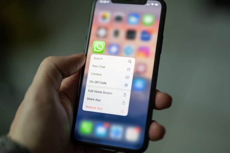 ¿Cómo denunciar contenido en WhatsApp?