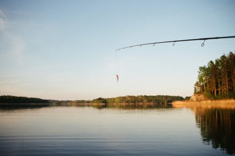 ¿Qué es y cómo prevenir el Phishing?