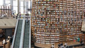 conseguir knowledge panel