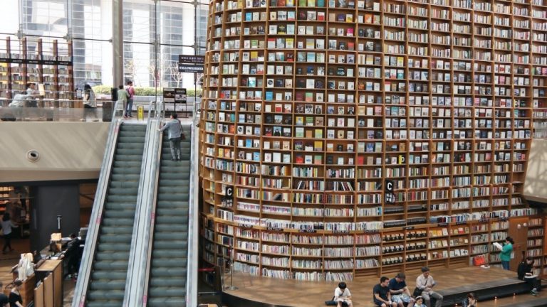 ¿Qué es el Knowledge Panel?