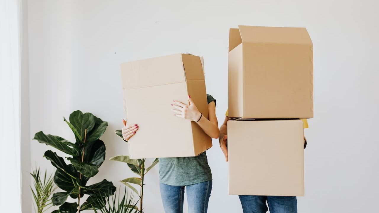 que es un proindiviso, plantas en elf ondo en medio plano hay una pareja moviendo cajas a modo de mudanza, la imagen es clara