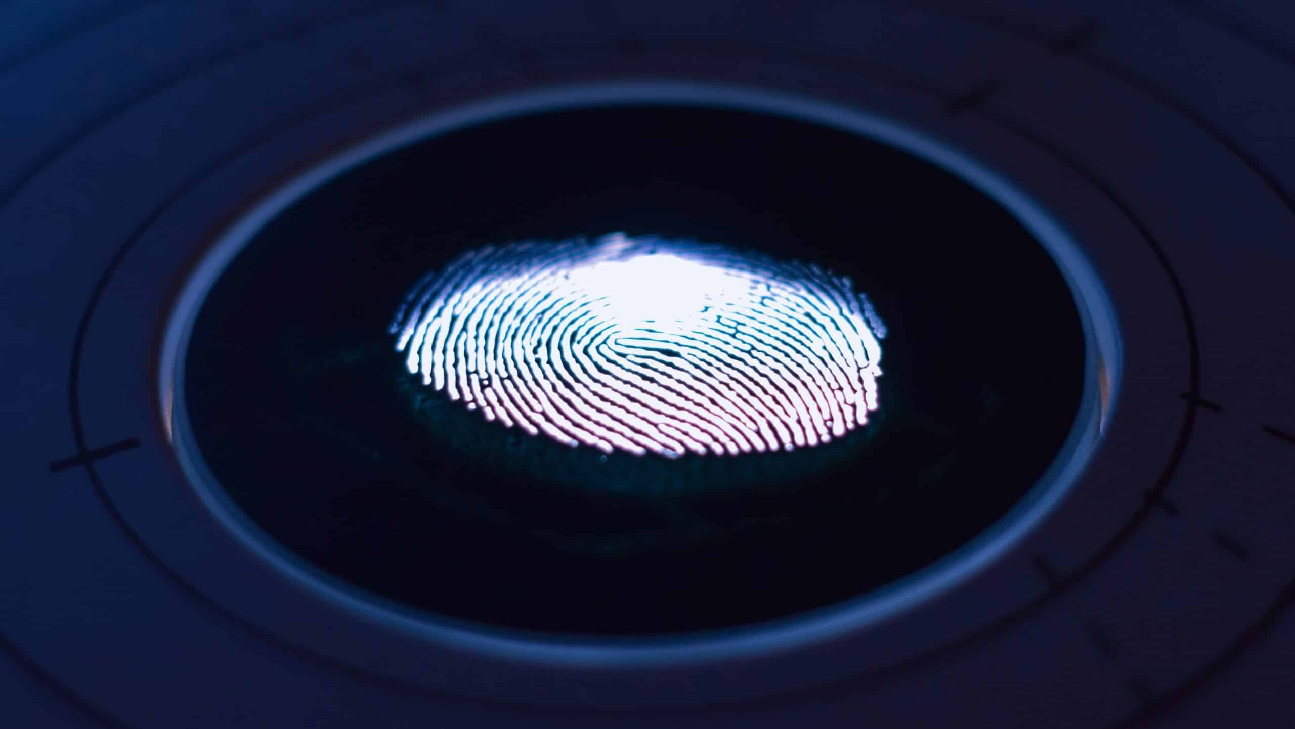 digital footprint and the right to be forgotten