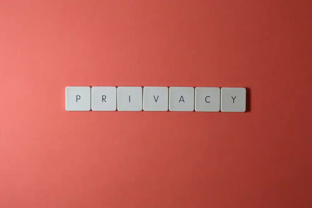 The word privacy: removal of personal data published on websites