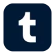 tumblr.webp